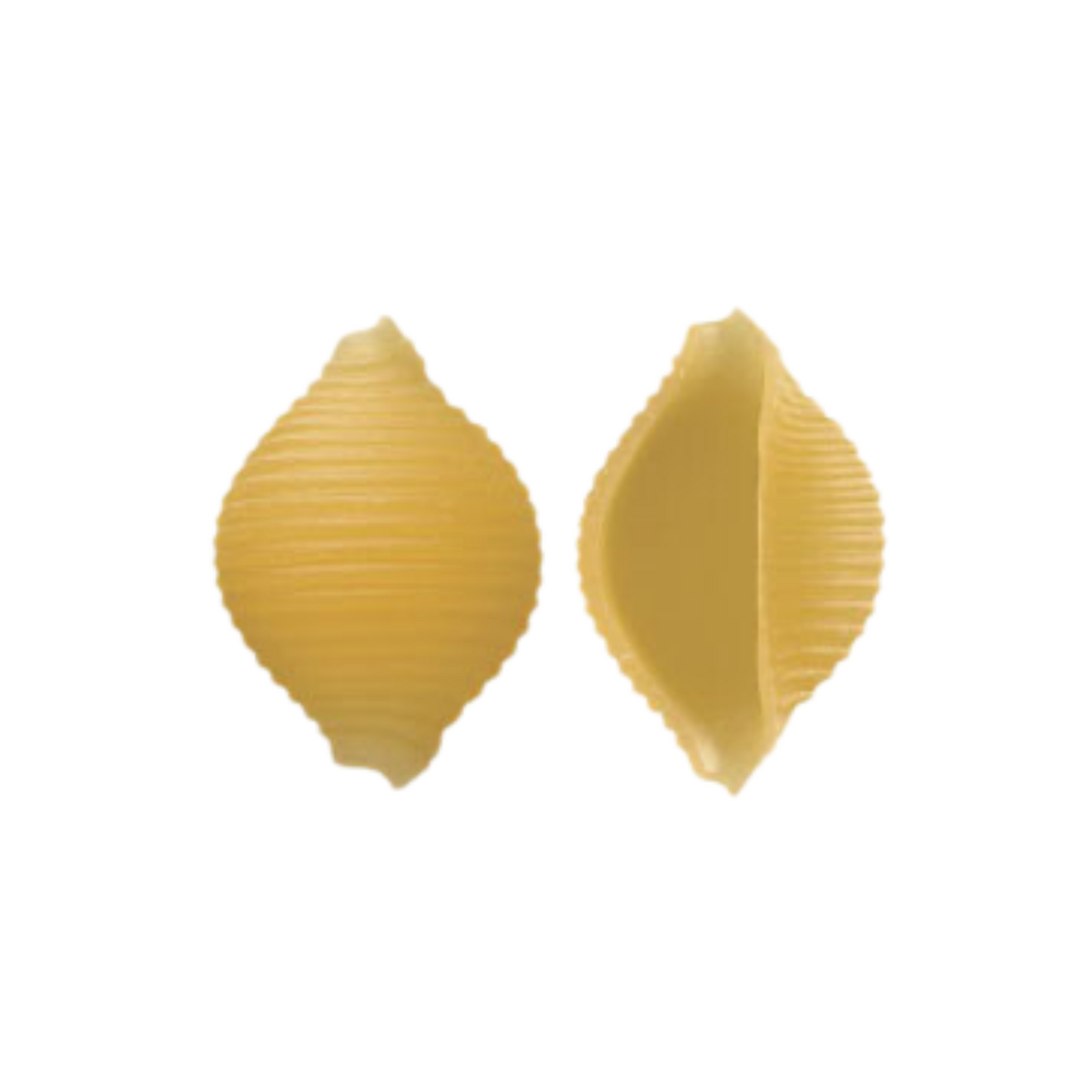 Conchiglie Rigate No. 42 aus Hartweizengrieß RUMMO, 500g