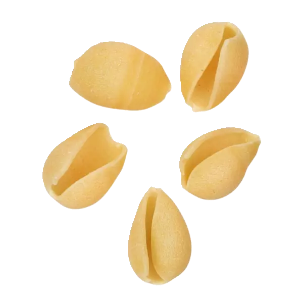 Cocciule Sarde – Sardische Pasta aus Hartweizengrieß, 500 g