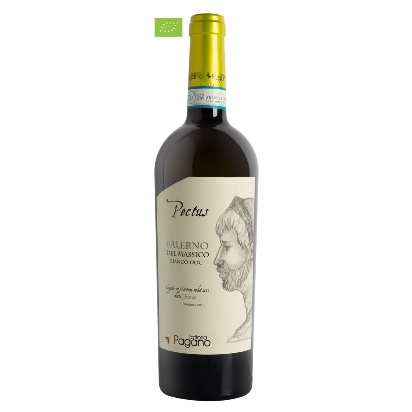 Pectus Falerno del Massico Bianco DOP Organic Jg 2022 – 0,75L – Fattoria Pagano
