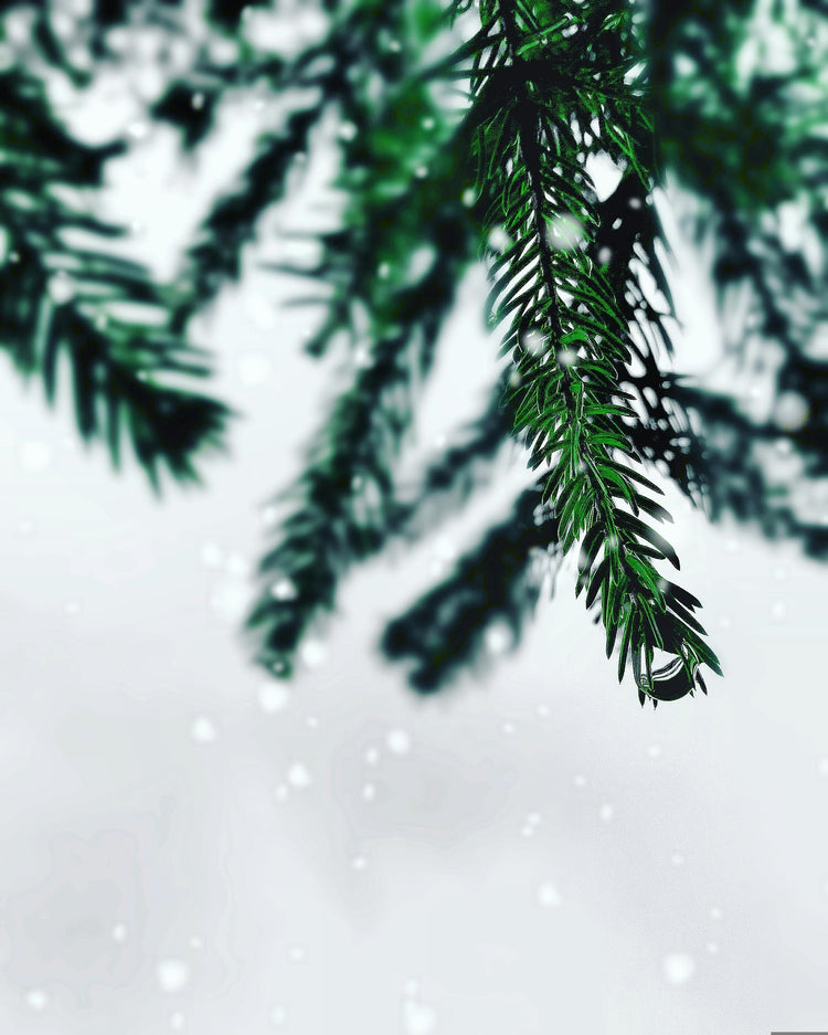 WEIHNACHTEN