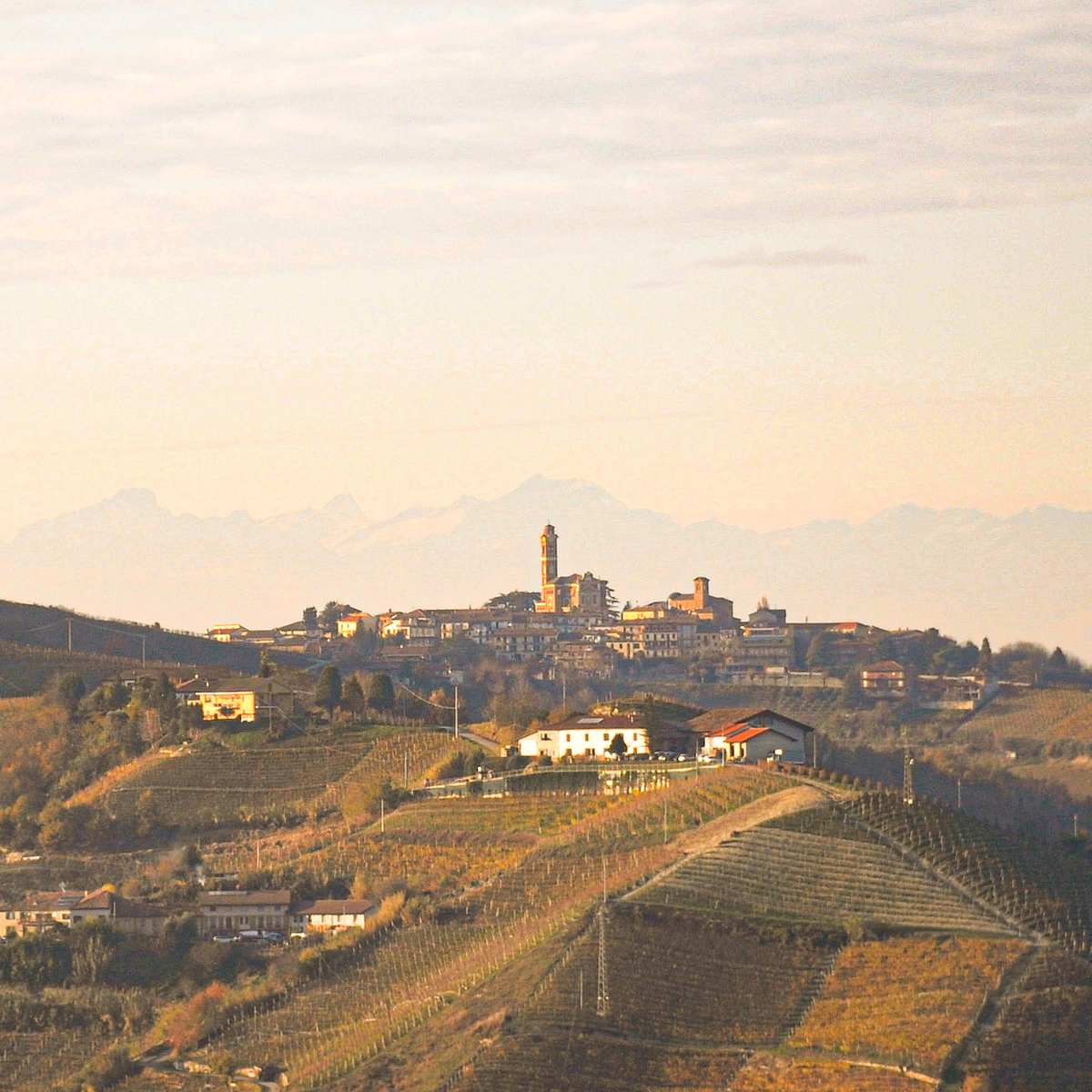 Piemont – zwischen Alpen und sanften Weinbergen