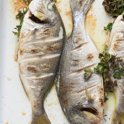 Fisch
