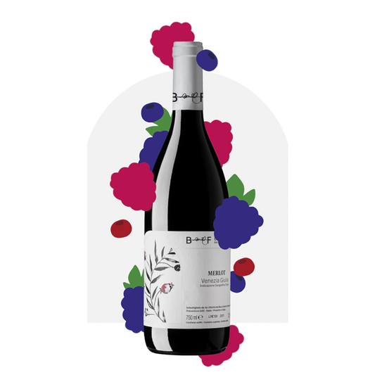 Merlot Venezia Giulia IGT 2023 – Berto & Fiorella Baccichetto