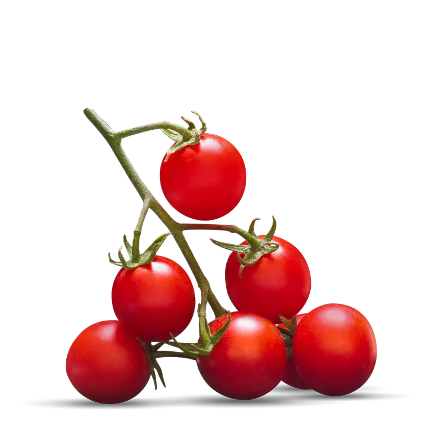 Passierte Datteltomaten, 290g – Rosso Gargano