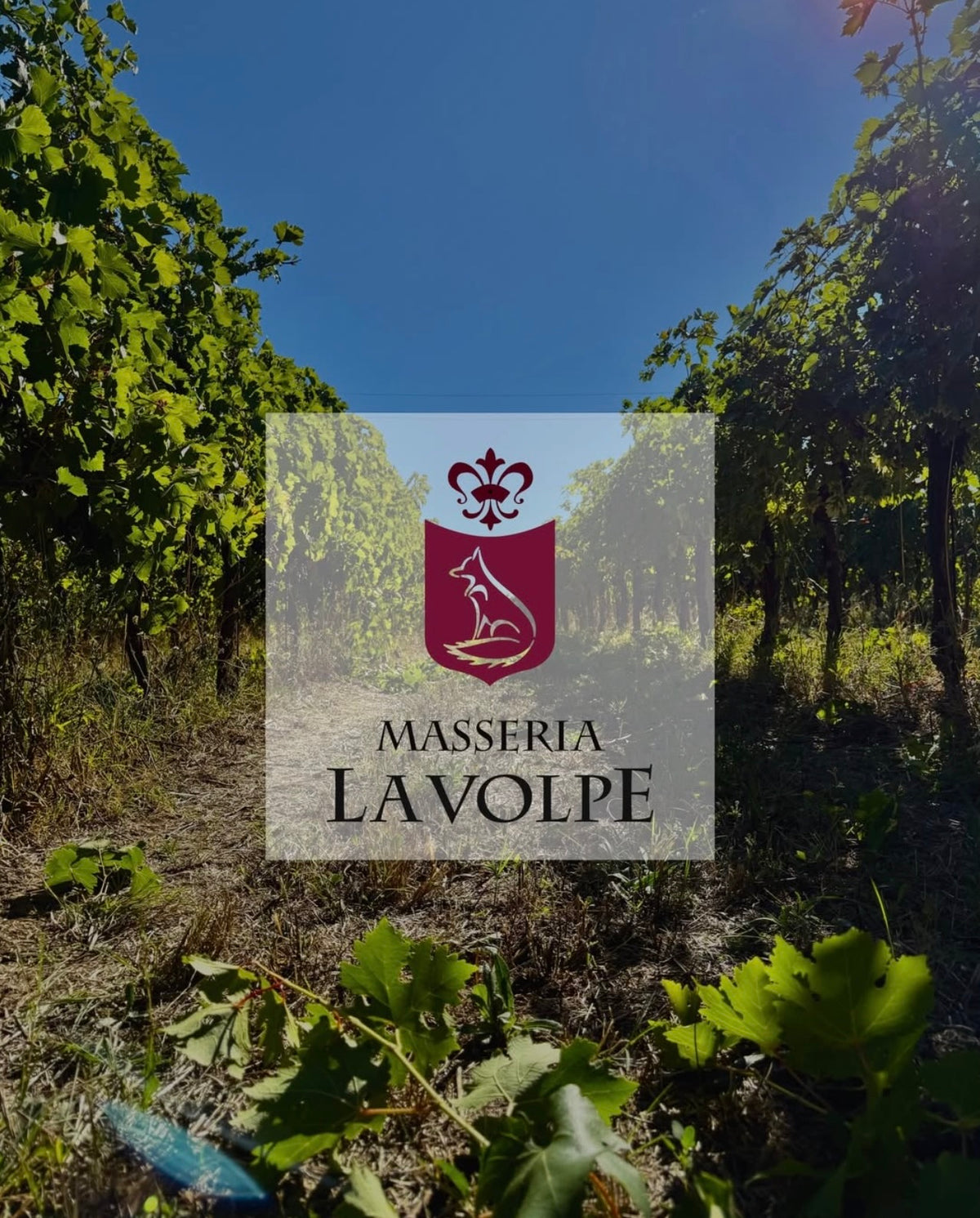 Masseria la Volpe