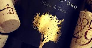GELSO D’ORO IGP 2021 – Nero di Troia – Weingut Podere29