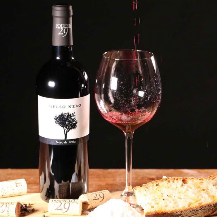 Nero di Troia „Gelso Nero“ IGT Jg 2022 – BIO – Weingut Podere29