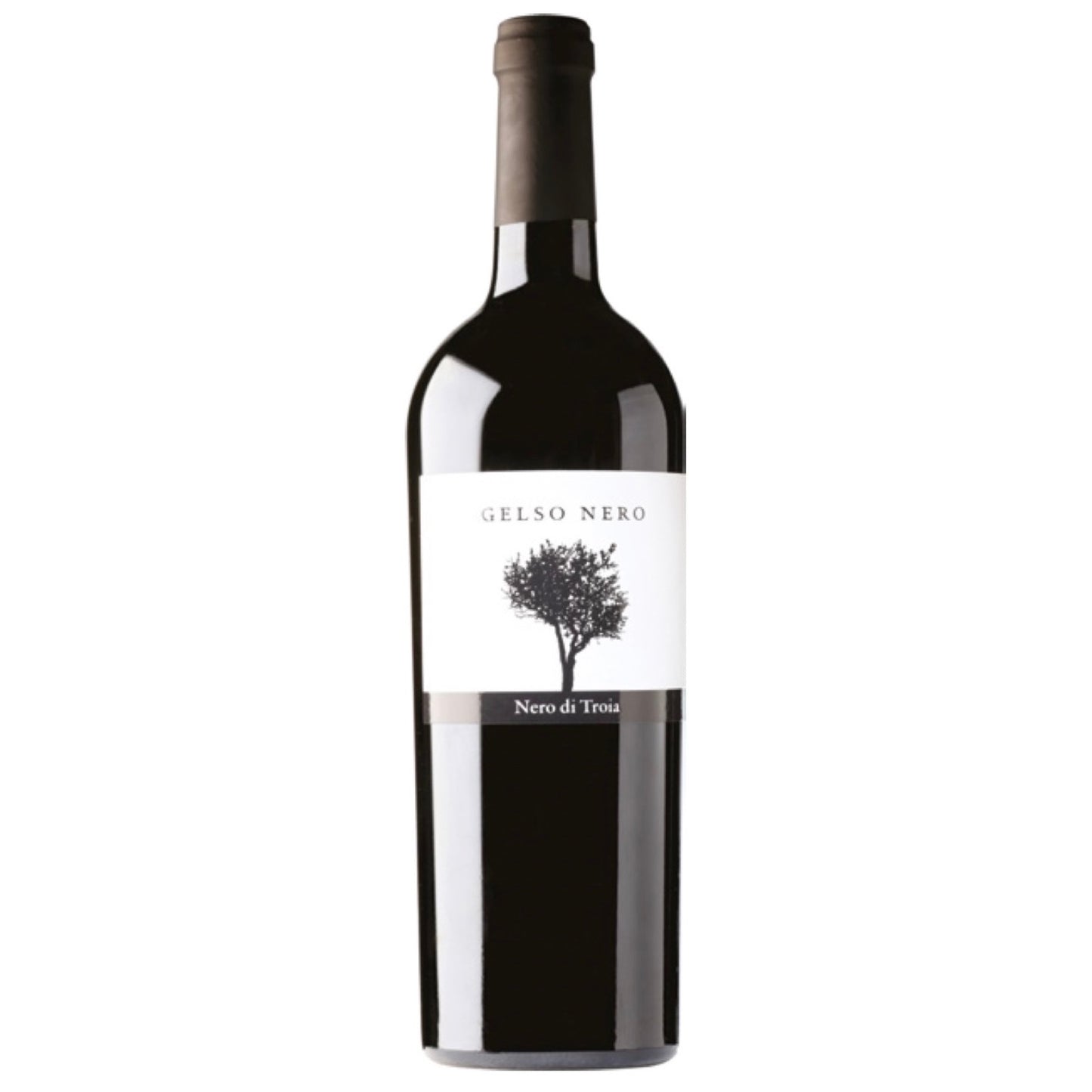 Nero di Troia „Gelso Nero“ IGT Jg 2022 – BIO – Weingut Podere29