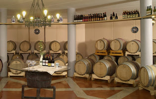 Colli di Faenza Rosso Riserva DOC „Montecorallo“ Jg 2017 – Weingut TRERÈ