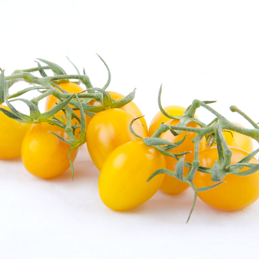 Gelbe Datteltomaten in Meerwasser, 350g – Così Com’è