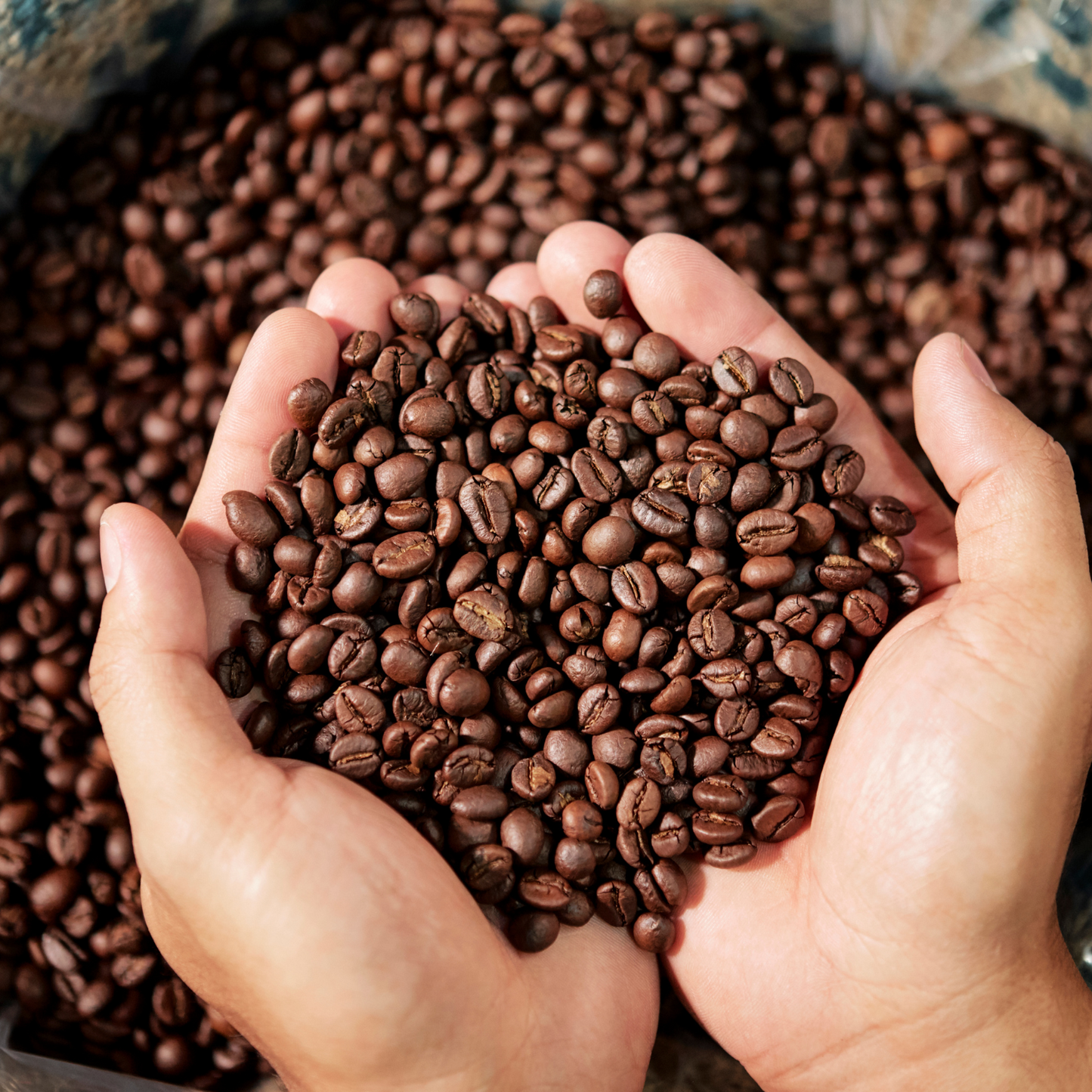 Espresso Crema Intensa, 1Kg – Caffé Kimbo