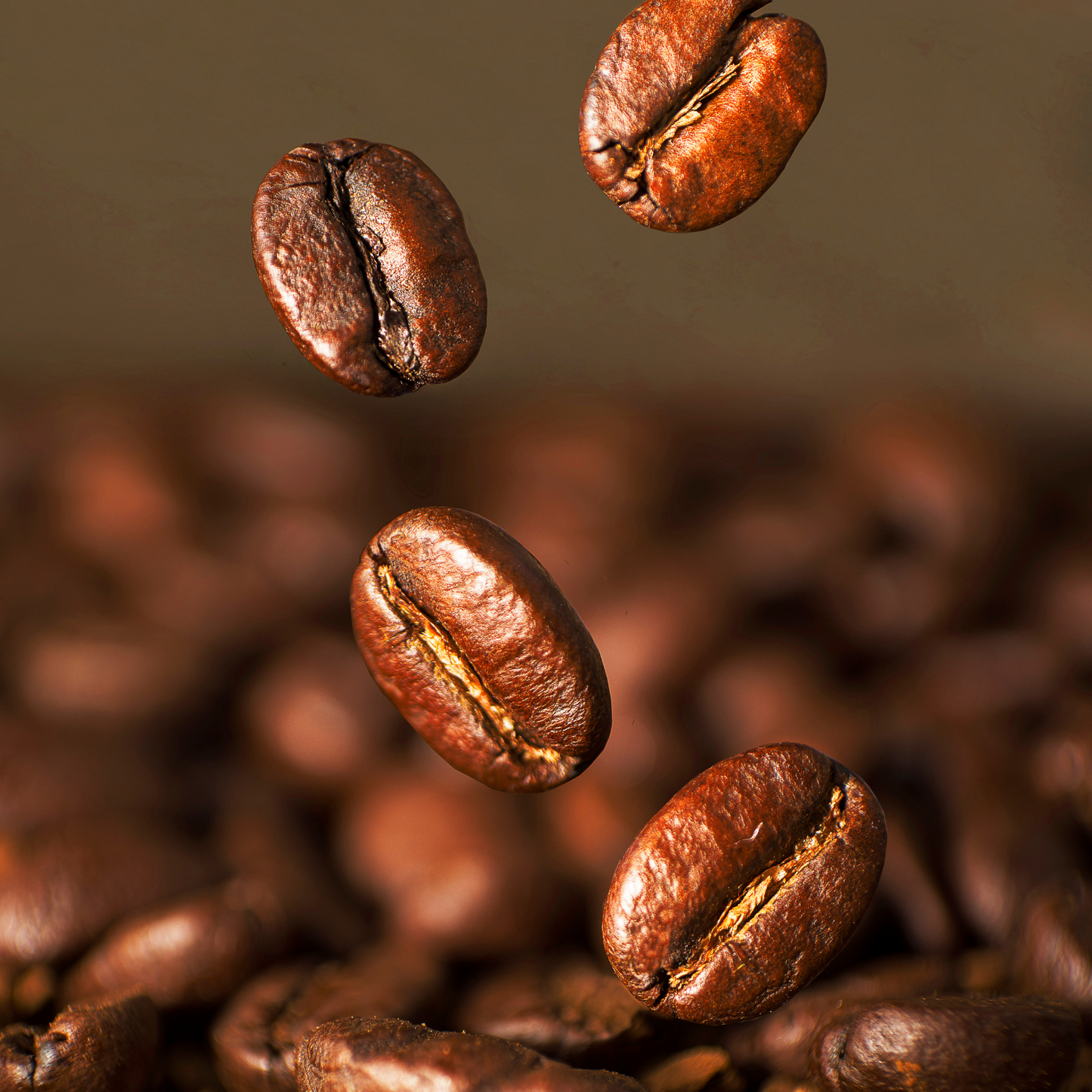 Ganze Kaffeebohnen, 1Kg – Caffé Mocambo Gold