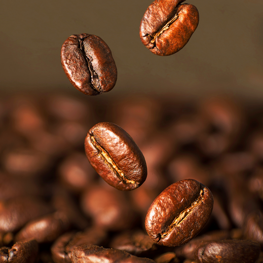 Ganze Kaffeebohnen, 1Kg – Caffé Mocambo Gold