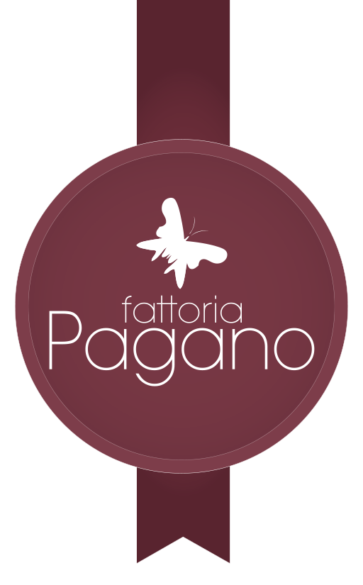 Aglianico Campania IGT 2022 – Fattoria Pagano