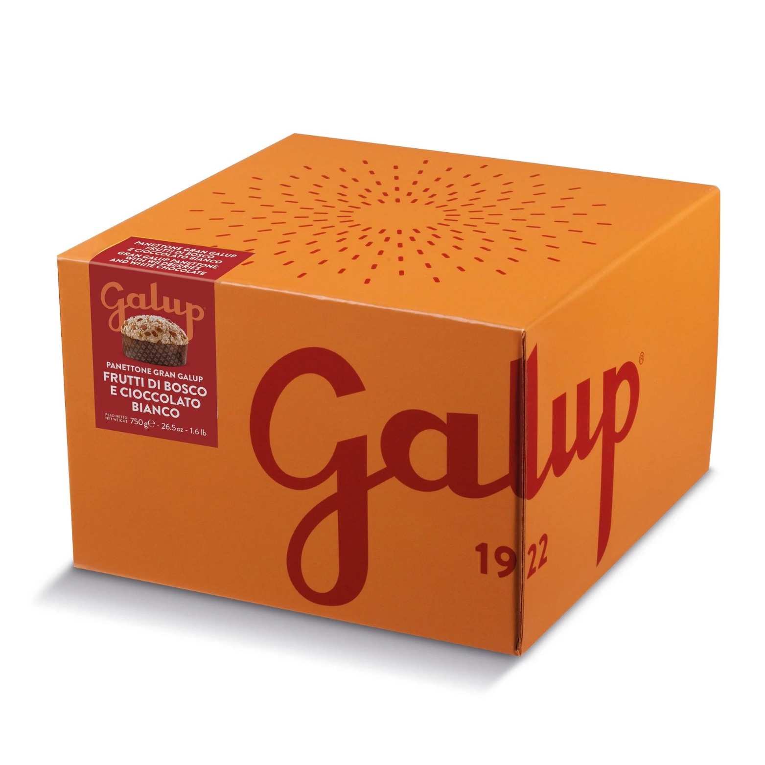 Panettone GRAN GALUP mit Waldfrüchten und weißer Schokolade – GALUP, 750g